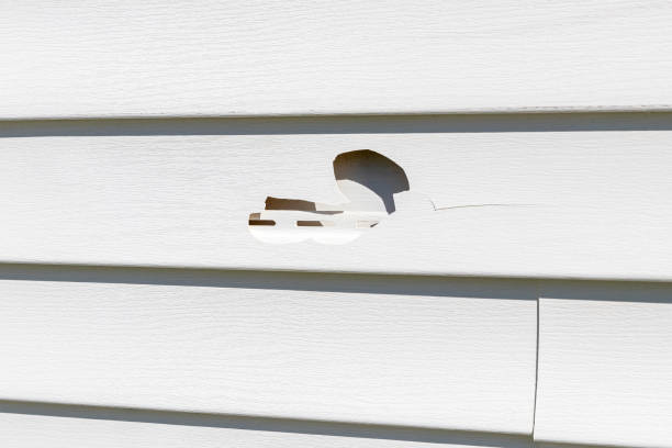 Best Fiber Cement Siding Installation  in Surf City, NJ
