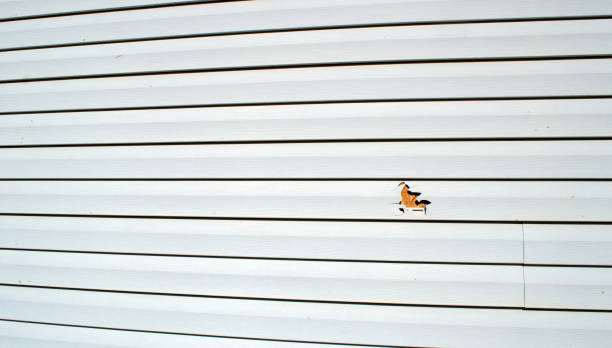 Best Residential Vinyl Siding Installation  in Surf City, NJ