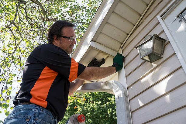 Affordable siding repair and maintenance services in Surf City, NJ
